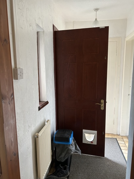 Back door solution - bifold timber external / sliding single door?