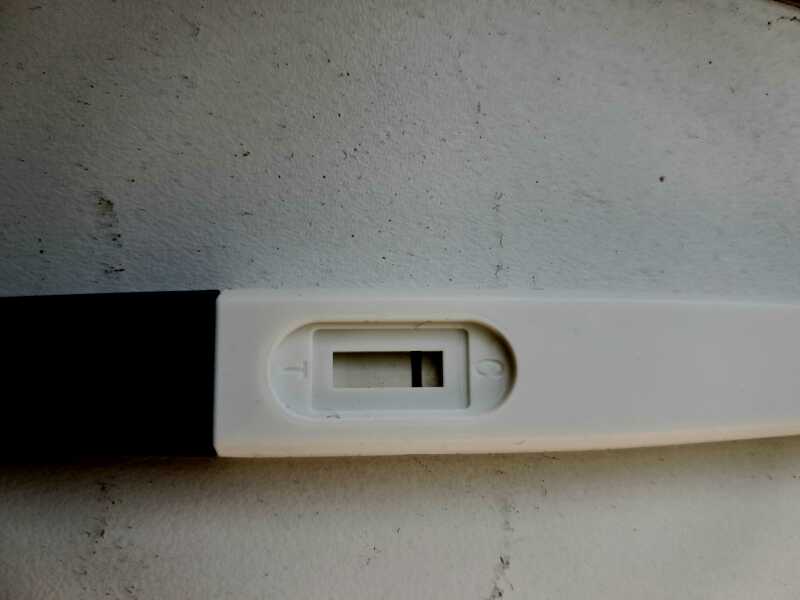 Bfp or evap ?