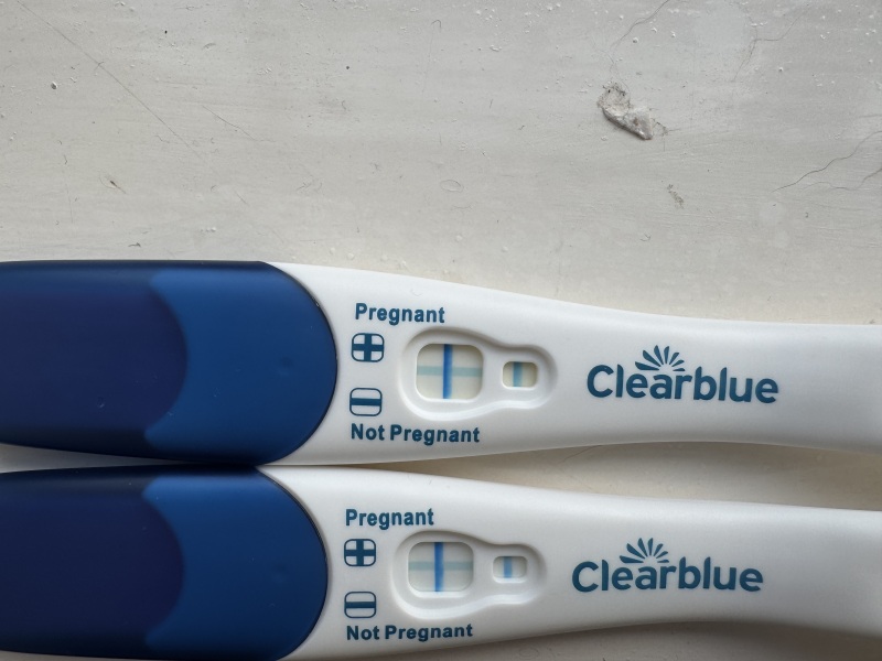 Due February 2026 ✨