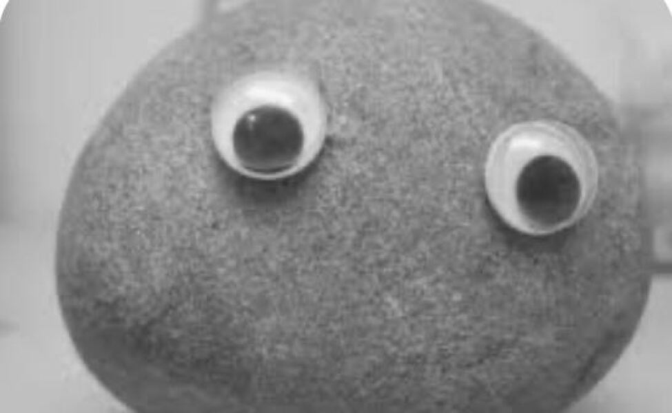 Junior Doctors Unemployment in August