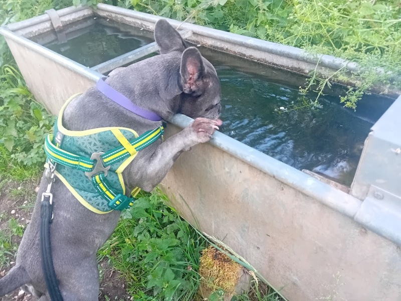 The support thread for anyone trying to live an alcohol free life. Spring 2025.