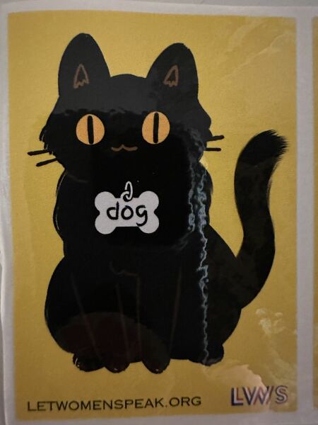 The new “this is what a woman looks like” campaign