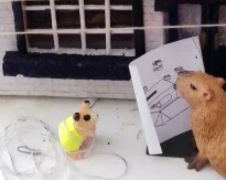 The Bluestocking - where the laugh emoji is sorely missed.