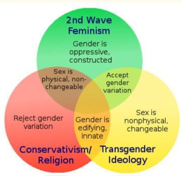 Is there any way to explain to people that being against TRA ideology doesn't make me right wing?