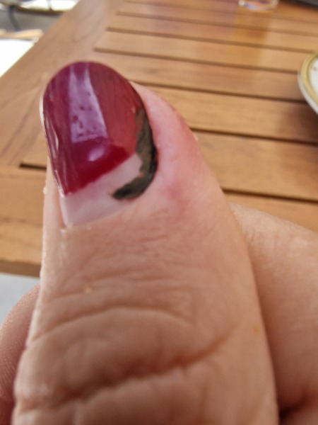 The Bluestocking Women’s Pub - Where Everybody Knows Your Username