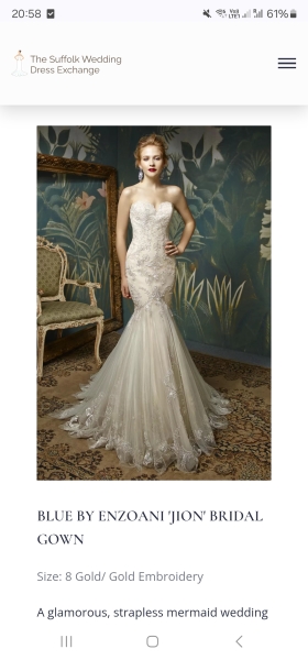 No wedding dress 6 weeks before the wedding...