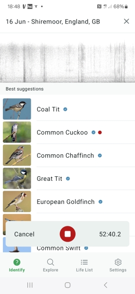 Merlin App Appreciation plus General Birding Chat