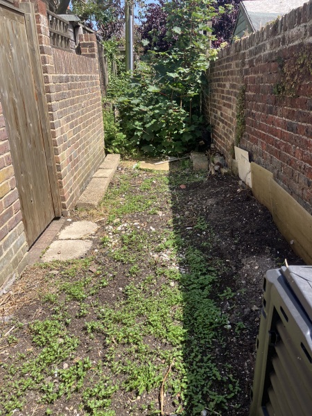 Genuinely upset at this wildflower destruction