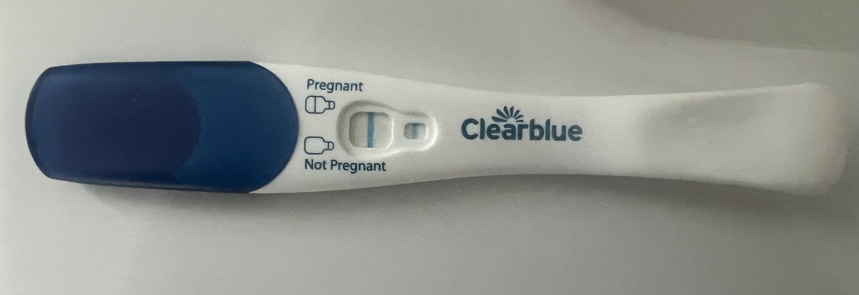 Due February 2026 ✨