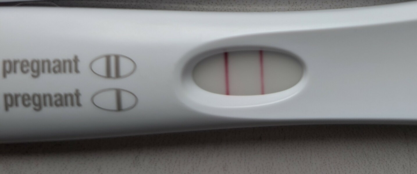Due February 2026 ✨
