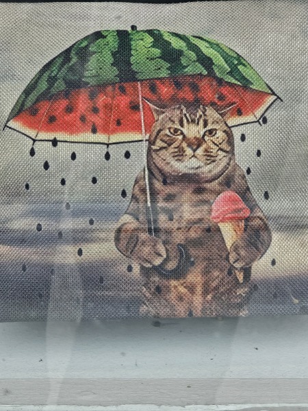 The One after the One where the Excellent Cats posed for a calendar