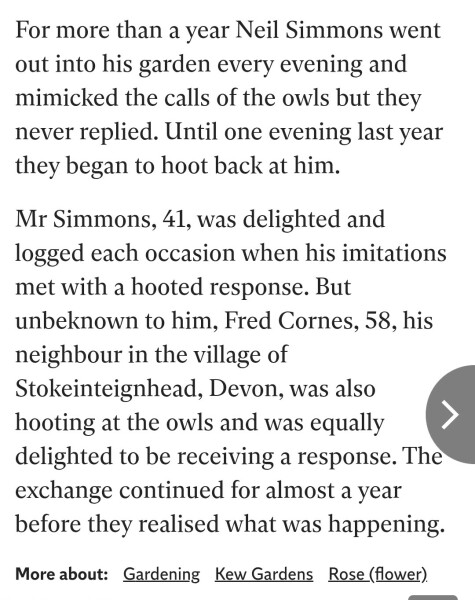 Neighbour wooing?