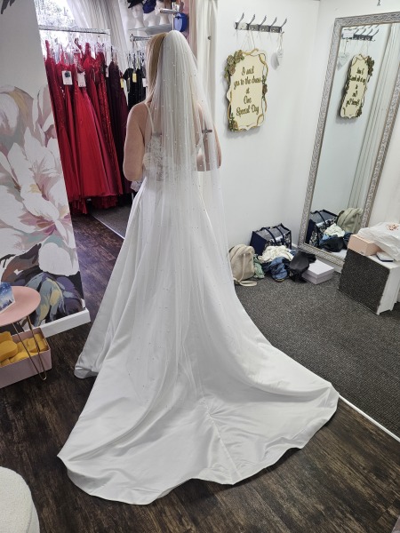 No wedding dress 6 weeks before the wedding...