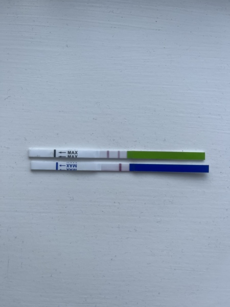 Positive LH 7dpo and negative pregnancy test