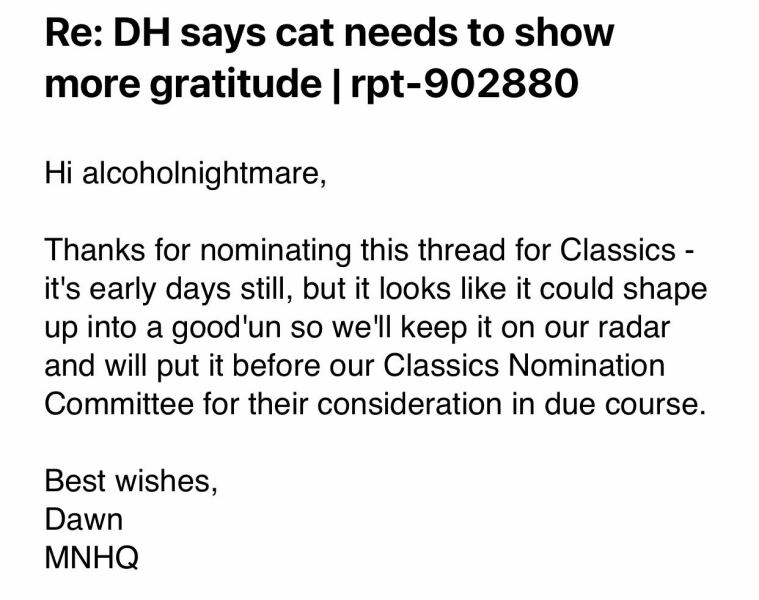 DH says cat needs to show more gratitude