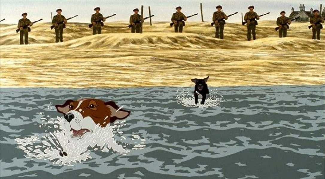 Rabbit rescue targeted by TRAs