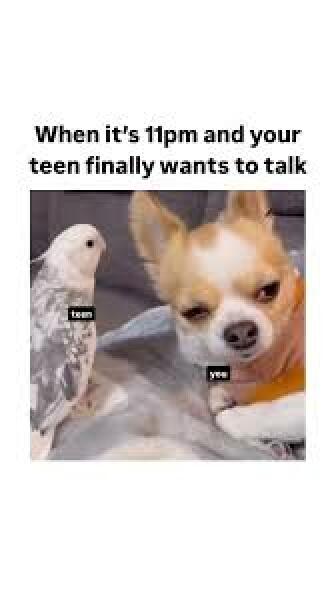 To ask my child to be quiet?