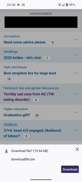 Site requesting I download a file