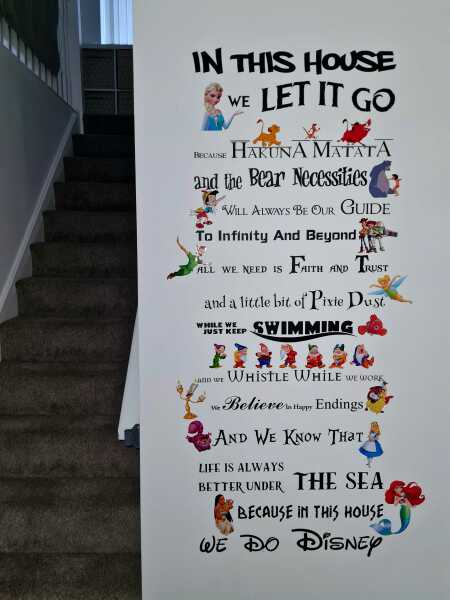 Opinions on 'Disney Adults'?