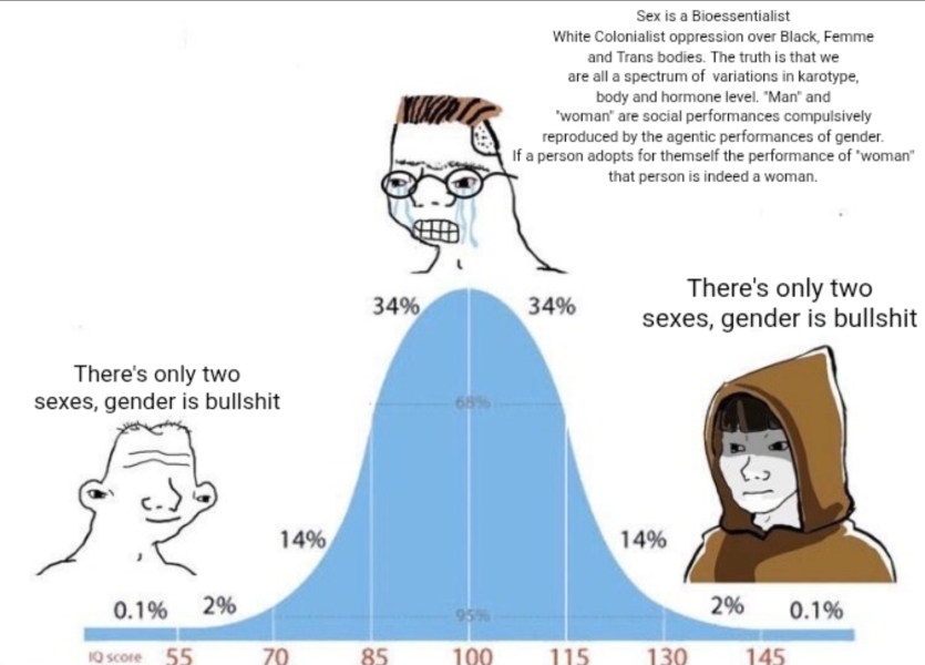 Reflections on Trans Arguments