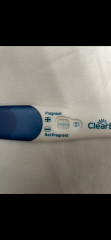 Clear Blue Plus Test Q