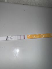 Tww June 2025🩷🩵