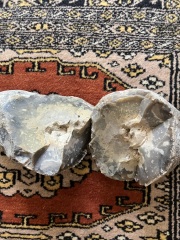 Is this a meteorite?