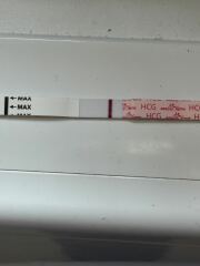 8dpo madness