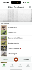 Merlin App Appreciation plus General Birding Chat