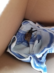 I saved a swift - and I liked it!