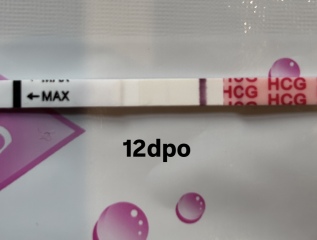 9-12dpo no progression, chemical?