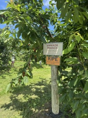 Come and tell us your dull and unexciting news 34: Calmly through the day