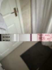 11dpp test