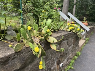 Come and tell us your dull and unexciting news 34: Calmly through the day