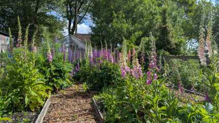 Year round Nigel Slater discussion thread Part 2