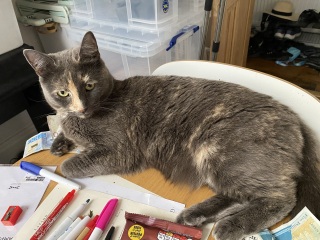 The One after the One where the Excellent Cats posed for a calendar