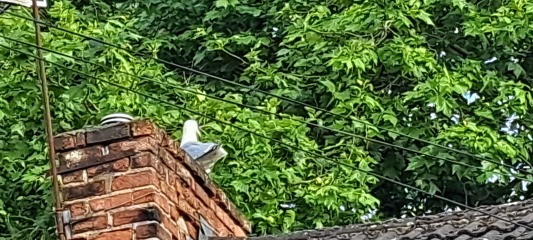 The Bluestocking Women’s Pub - Where Everybody Knows Your Username