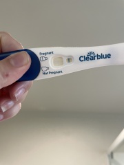 Potentially pregnant -line eyes help