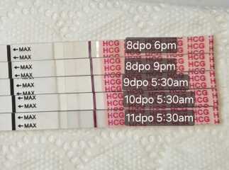 3dpo - anyone else?