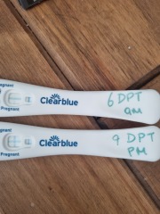 Test line progression