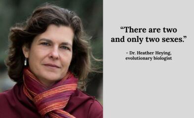 "We have always been here"