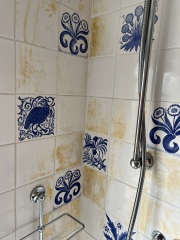 Awful orange stains on tiles after using HG mould spray