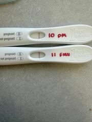 In the dreaded 2 week wait