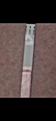 Possible Faint Line or Evap Lines?