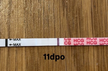 9-12dpo no progression, chemical?