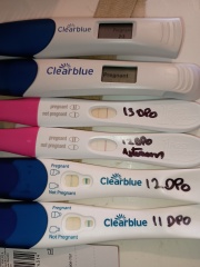 Due February 2026 ✨