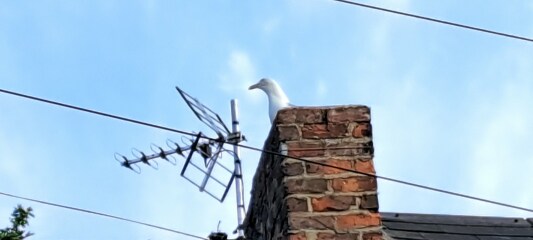 The Bluestocking Women’s Pub - Where Everybody Knows Your Username