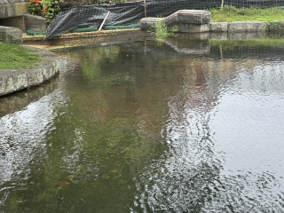 Come and tell us your dull and unexciting news 34: Calmly through the day