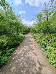 Year round Nigel Slater discussion thread Part 2