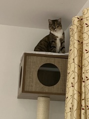 Moving to an apartment